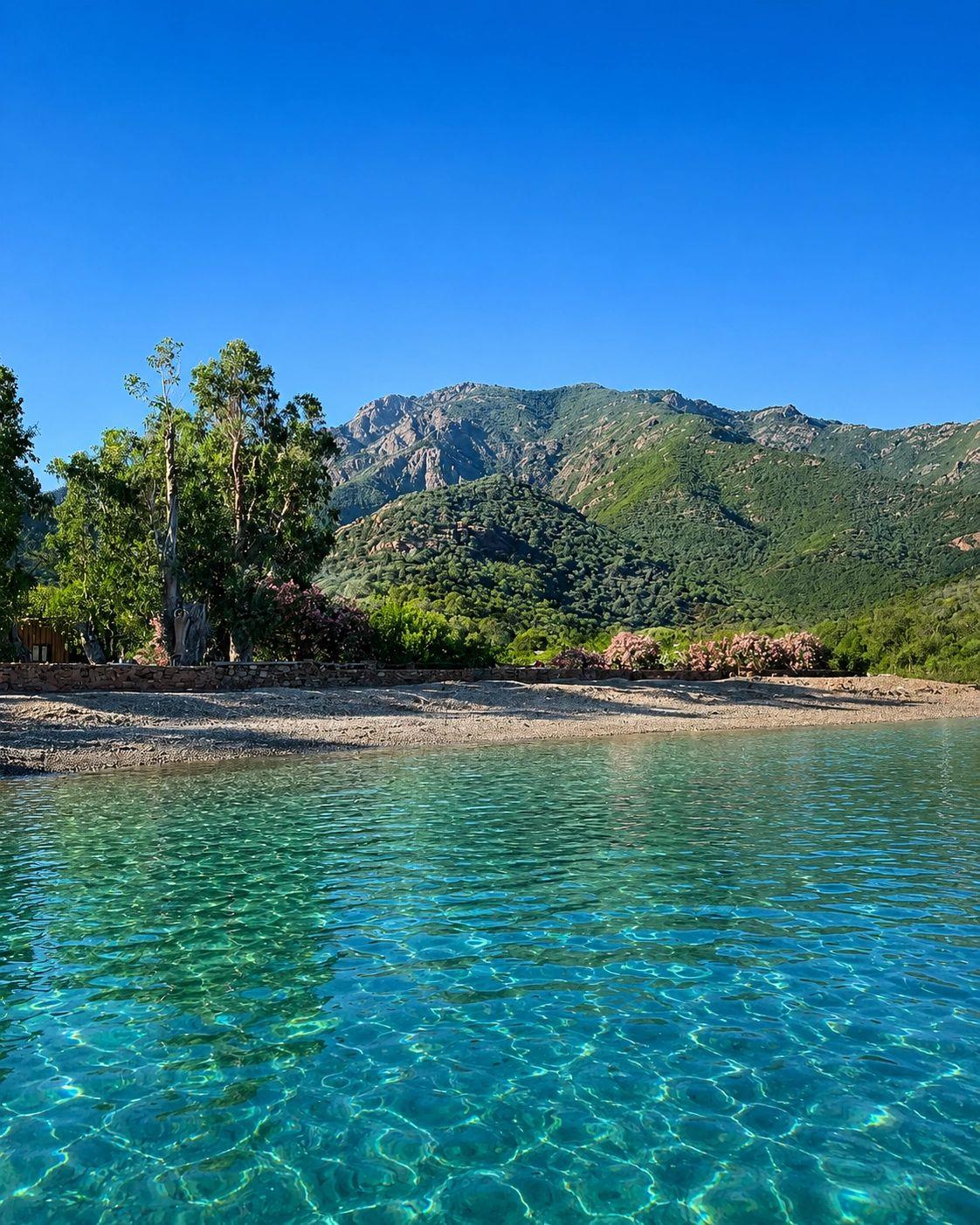 Alt à définir